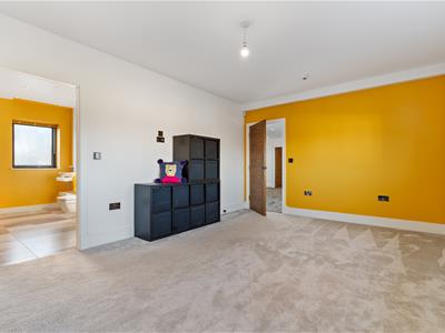 Picture 23